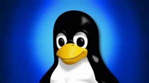 Linux distros for programmers